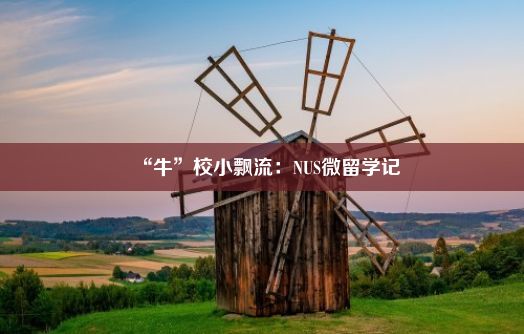 “牛”校小飘流：NUS微留学记