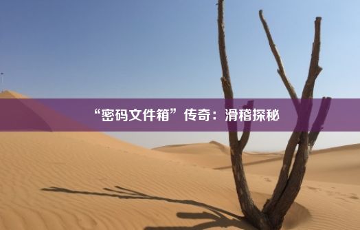 “密码文件箱”传奇：滑稽探秘