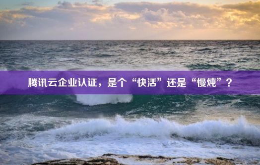 腾讯云企业认证，是个“快活”还是“慢炖”？