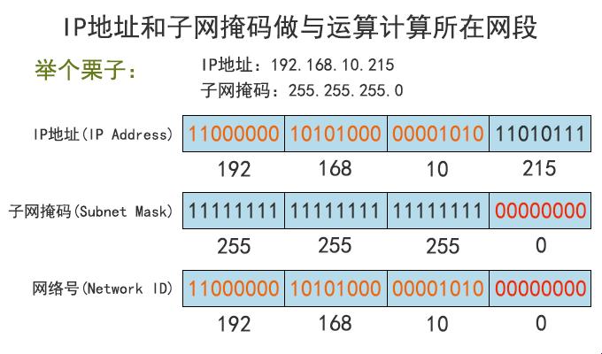 填IP子网掩码？这活儿比捅马蜂窝还刺激！