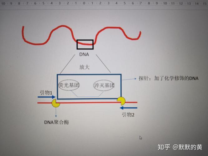 RT，玩转网络江湖的神秘力量