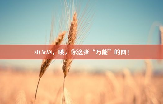 SD-WAN，哦，你这张“万能”的网！