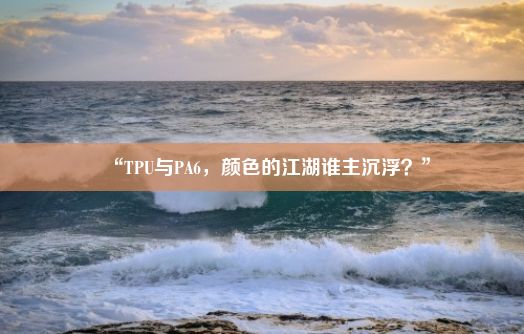 “TPU与PA6，颜色的江湖谁主沉浮？”