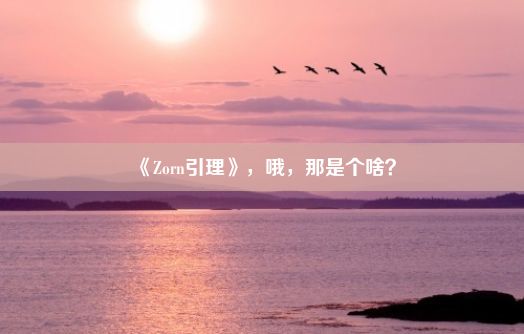 《Zorn引理》，哦，那是个啥？