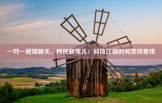 一对一视频聊天，网民新宠儿：科技江湖的另类风景线