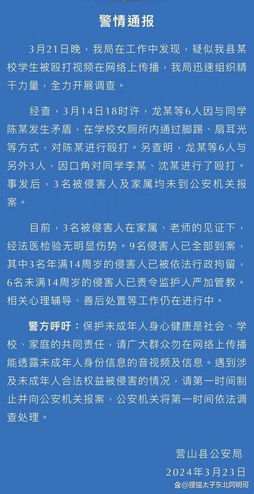 未成年挥拳与成年之差：一场法律与成长的辩证